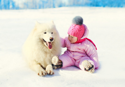 儿童与白色的萨摩耶狗坐在雪地上，在冬季的一天