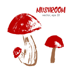 蘑菇的草图。 手绘画笔食物