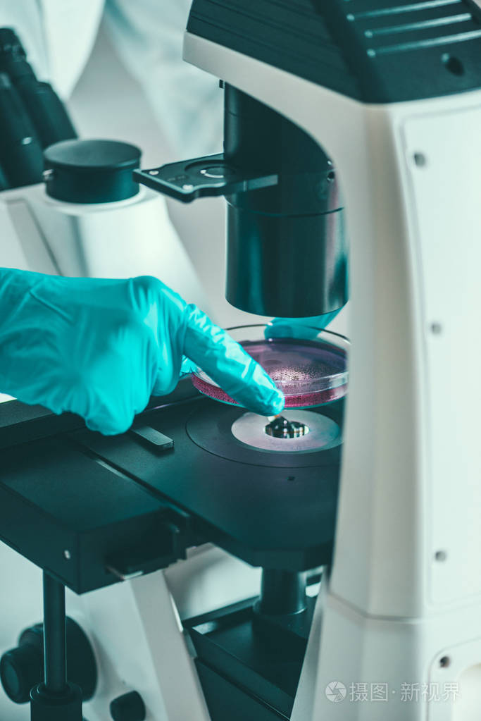 生物技术实验室研究员在显微镜下放置细胞培养皿