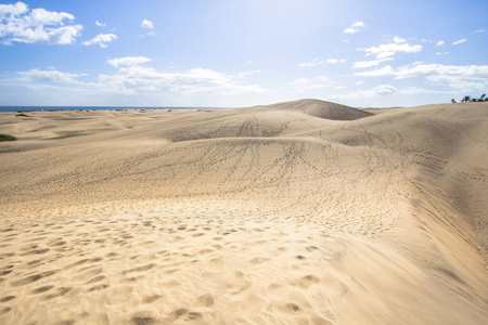 马斯帕洛马斯沙丘沙漠, 大加那岛