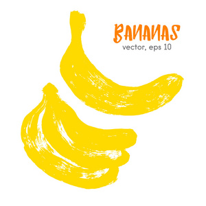 画了香蕉的水果插图。 手画的刷子食物