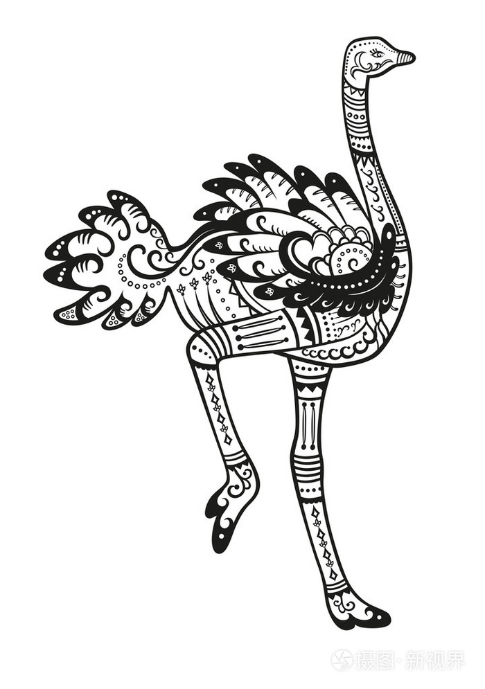 鸵鸟的鸟图案