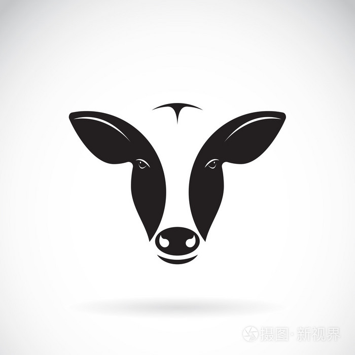 矢量图像的白色背景上的牛头