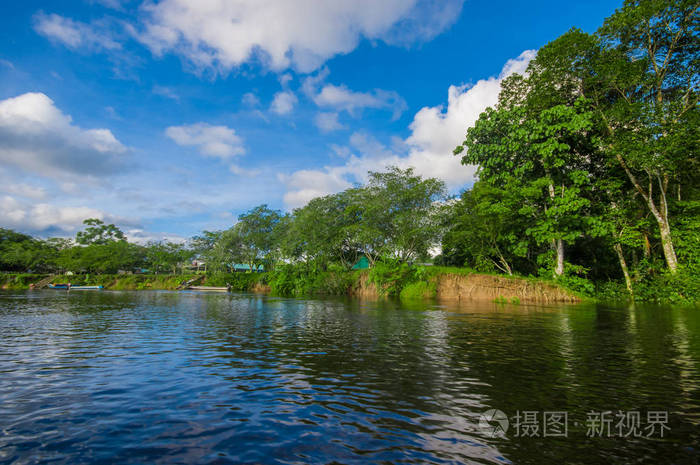 植被,在亚马逊雨林中 cuyabeno 野生动物自然保护区国家公园,南美洲