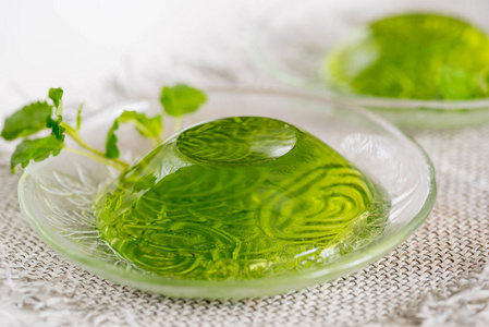 绿色果冻与薄荷叶在玻璃上的亚麻餐巾白色背景照片