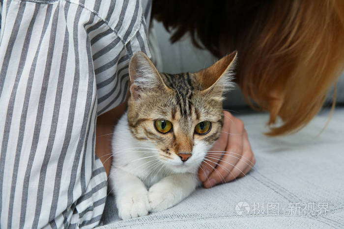 年轻漂亮的女人和在家里的猫
