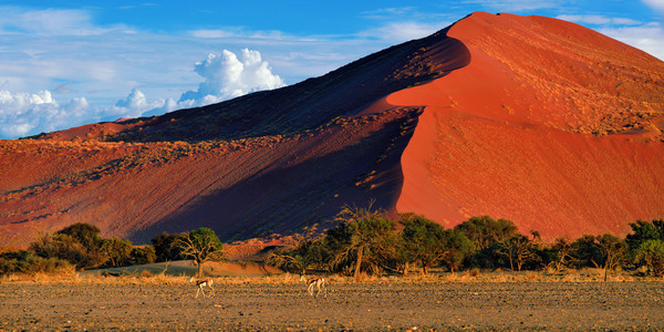 Sossusvlei，纳米布诺克国家公园纳米比亚