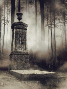 在树林里雾公墓