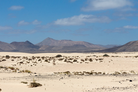 沙漠的富埃特文图拉地区 Corallejo