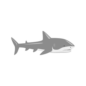 海洋食肉动物鲨鱼设计平面
