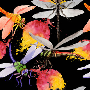 水彩风格的外来蜻蜓野生昆虫图案