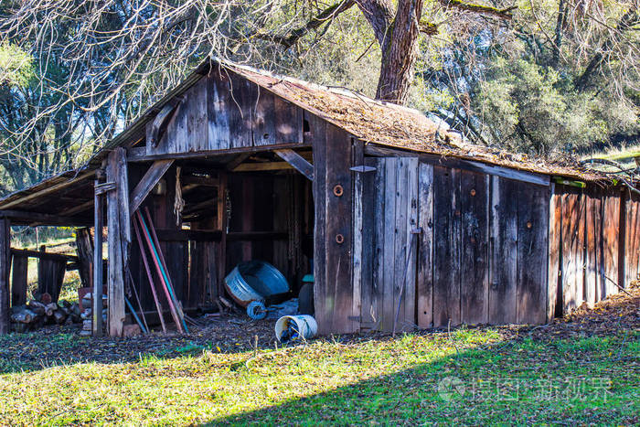秋季老木棚屋顶上有树叶