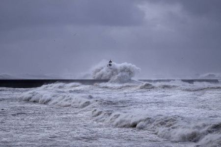 旧灯塔下大暴雨照片