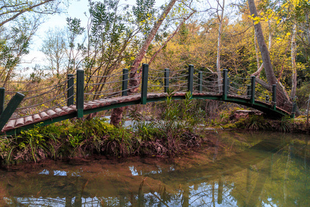 湖上的木桥    