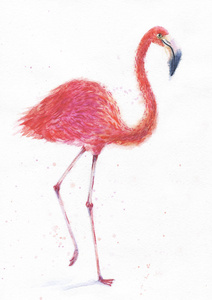 粉红色的火烈鸟水彩手绘的鸟艺术版画飞溅, 彩色颜料滴。白色背景上的美丽插图