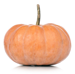 圆南瓜圆南瓜照片