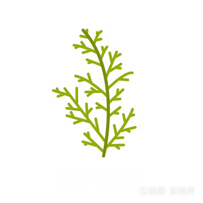 柏树叶图标平面风格