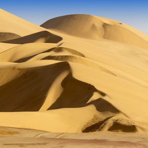 沙漠的沙丘上