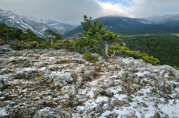 在克里米亚山
