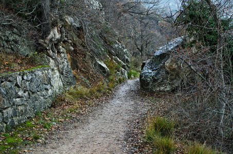 在克里米亚山