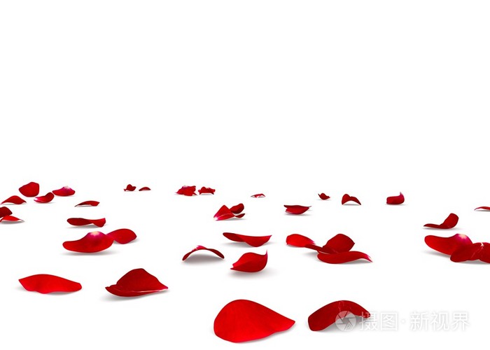 红色的玫瑰花瓣散落在地板上