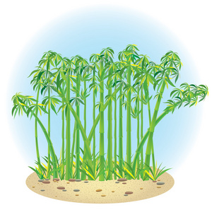 竹林剪影矢量图的一片竹林照片