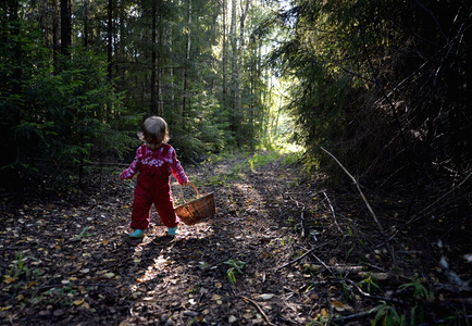 可爱的小女孩在森林里徒步旅行夏季的一天