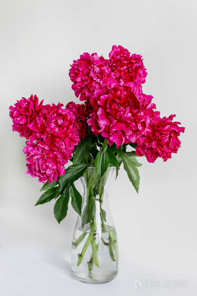 在勃艮第一个花瓶牡丹