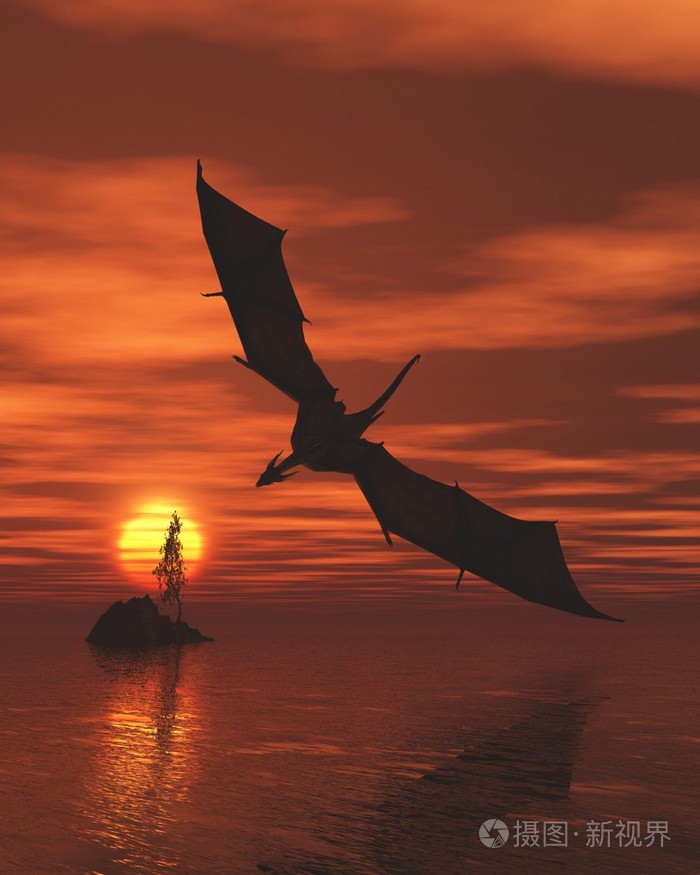 低空飞行在海上日落时分的龙