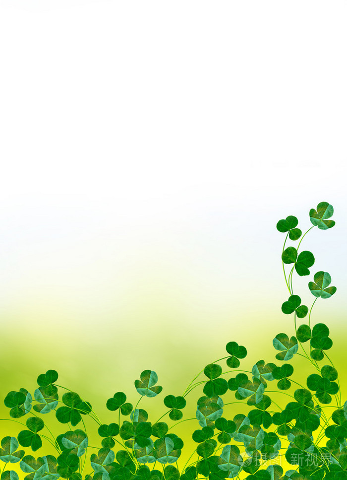 绿色三叶草叶子上背景夏日风景