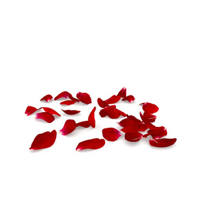 红色的玫瑰花瓣散落在地板上