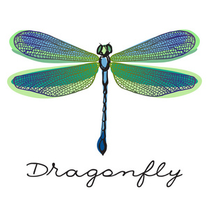 用涂鸦画翅膀手绘制多彩蜻蜓图片