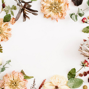 简约干花干花背景照片