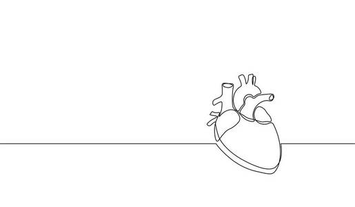 人体素描单人连续线艺术解剖人体心脏剪影.