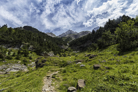 比利牛斯山 mountais 的景观