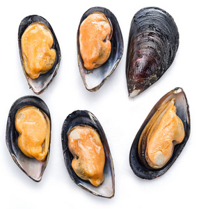 蓝贻贝的壳图片