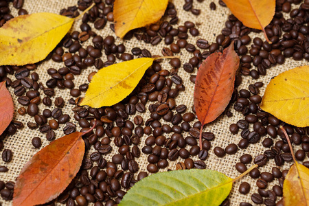 烤咖啡豆叶子图片
