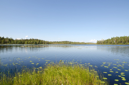 湖 Leshchevo，Kareliya 俄罗斯