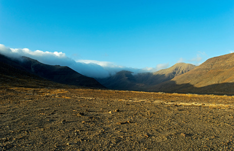 山的富埃特文图拉地区汉迪亚图片