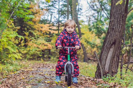 小男孩开心骑自行车在秋天的树林。选择性的焦点