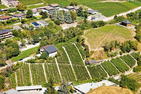 在罗纳河谷首都瓦莱州瑞士 Sion 城市景观