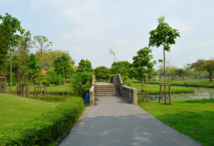 热带园林植物景观图片