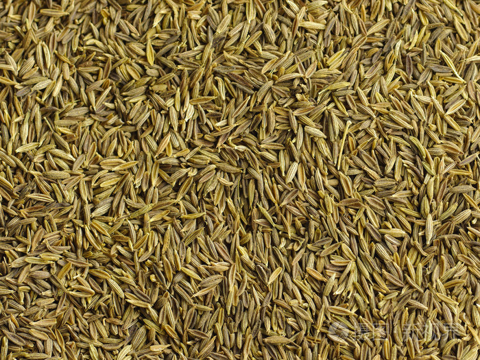 小茴香种子