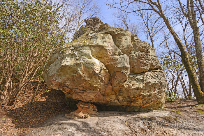在森林里的砂岩巨石