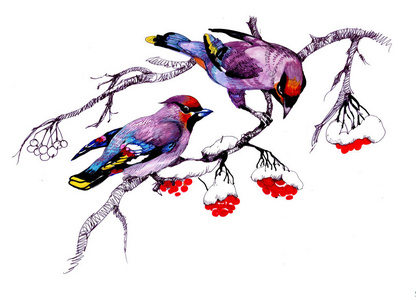 水彩鸟坐在一棵雪树上。手绘花卉贺卡插图