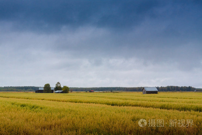 雨在田野上