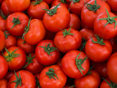 美味的新鲜红番茄。夏季市场充分的有机西红柿。它可以用作背景