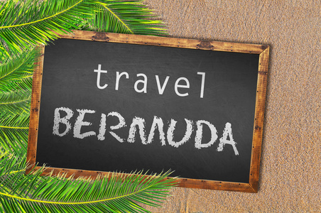 在沙滩上旅行百慕大棕榈树和黑板