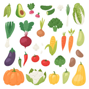 蔬菜载体 vegetably 番茄胡椒和胡萝卜的健康营养素食者吃有机食品从杂货店插画植物集饮食在白色背景下隔离