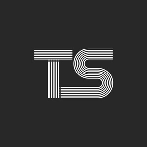 婚礼或商业伙伴在皇家风格的字母组合抽象的标志设计.